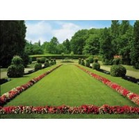 Fototapetes 8-096 Fototapetes 8-096