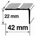 Dekoratīvie alumīnija leņķa profili 22x42mm/270cm