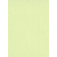 Tapetes Flizelīna 10187-07