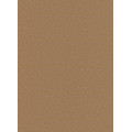 Обои Флизелиновые ERISMANN 5797-11