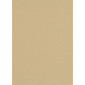 Tapetes Flizelīna ERISMANN 5797-32