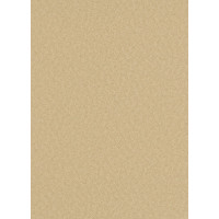 Tapetes Flizelīna ERISMANN 5797-32