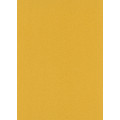Tapetes Flizelīna ERISMANN 5809-30