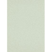 Обои Флизелиновые ERISMANN 5813-35