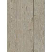 Обои Флизелиновые ERISMANN 5820-07