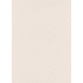 Tapetes Flizelīna ERISMANN 5823-02
