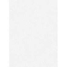 Обои Флизелиновые ERISMANN 5942-01