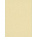 Обои Флизелиновые ERISMANN 5952-03