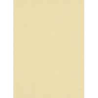 Tapetes Flizelīna ERISMANN 5952-03