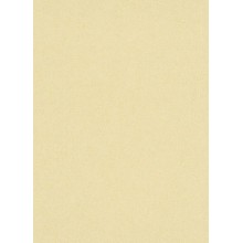 Обои Флизелиновые ERISMANN 5952-03