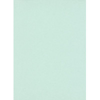 Tapetes Flizelīna ERISMANN 5952-07