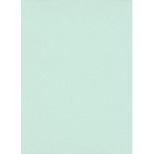 Обои Флизелиновые ERISMANN 5952-07