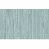 Tapetes Flizelīna ERISMANN 5954-08 Tapetes Flizelīna ERISMANN 5954-08