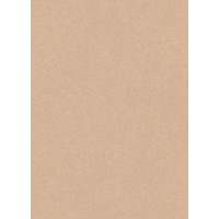 Tapetes Flizelīna ERISMANN 5958-49