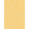 Tapetes Flizelīna ERISMANN 6340-03