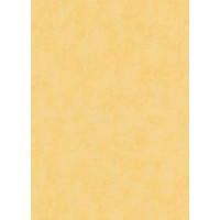 Tapetes Flizelīna ERISMANN 6340-03 Tapetes Flizelīna ERISMANN 6340-03