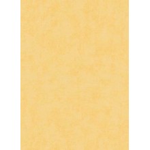 Tapetes Flizelīna ERISMANN 6340-03