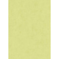 Обои Флизелиновые ERISMANN 6340-07