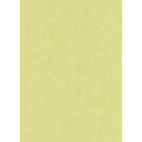 Tapetes Flizelīna ERISMANN 6340-07