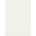 Обои Флизелиновые ERISMANN 6358-01