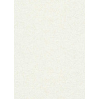 Обои Флизелиновые ERISMANN 6358-01
