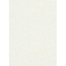 Обои Флизелиновые ERISMANN 6358-01