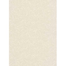 Обои Флизелиновые ERISMANN 6358-02