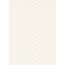 Обои Флизелиновые ERISMANN 6465-01