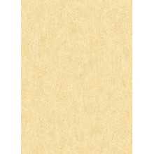 Обои Флизелиновые ERISMANN 6497-03