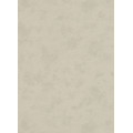 Обои Флизелиновые ERISMANN 6603-02