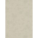 Обои Флизелиновые ERISMANN 6603-02