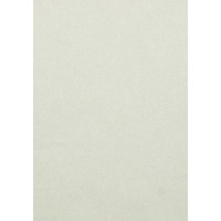 Обои Флизелиновые ERISMANN 6607-14