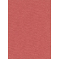 Tapetes Flizelīna ERISMANN 6862-06