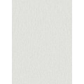 Обои Флизелиновые ERISMANN 6937-01 Обои Флизелиновые ERISMANN 6937-01