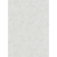 Tapetes Flizelīna ERISMANN 8912-10