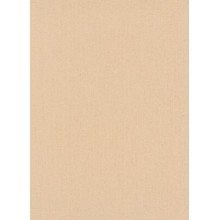 Tapetes Vinila ERISMANN 8938-05