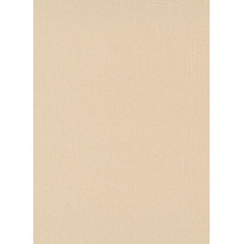 Обои Флизелиновые ERISMANN 9655-04