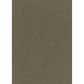 Tapetes Flizelīna ERISMANN 5813-49