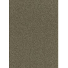 Tapetes Flizelīna ERISMANN 5813-49