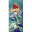 FTD 0240 Ariel