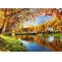Фотообои Золотая Осень