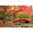 Фотообои  Сад в Японии      
