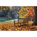 Фотообои  Осень в парке           