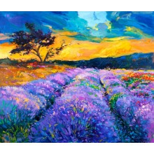 Fototapetes Violets lauks