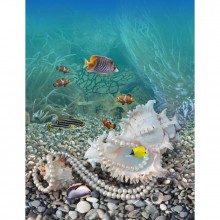 Фотообои  Подводная жизнь