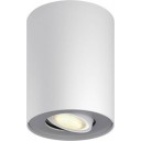 Pillar Hue ext. spot single spot white 1x5.5W 5633031P8