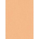 Tapetes 5110-23