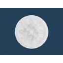 Putuplasta rozetes R-13