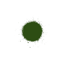 Краска-лак CHAMPION (400ml) зеленая RAL6002