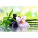 Fototapetes  Spa         